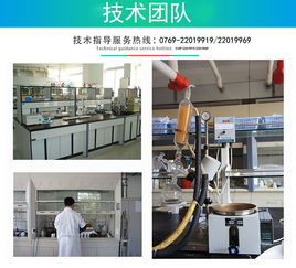 專業服務護航，技術服務賦能企業數字化轉型
